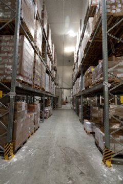 Recent EU certification Cold Storage Facility allows TWI to expand commercial services offering in Europe.