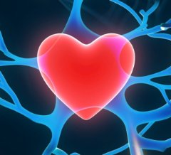 The head brain is the centre of our creativity; where solutions are generated to solve everything from small to large issues.