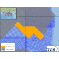 TGS Announces Alonso 3D Multi Client Project In US GOM WebWire