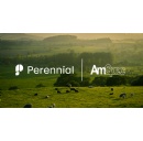 Perennial and AmSpec Group Partner to Expand Reach & Improve Efficiency for MMRV Globally