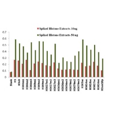 Histone extracts were prepared from HL-60 cells and spiked into bovine plasma at different concentrations. The signal intensity of each H3 modification was measured with the EpiQuik™ Circulating Modified Histone H3 Multiplex Assay Kit (Colorimetric)