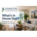 What’s Lurking in Common Dust Found in Homes, Businesses, and Schools in Puerto Rico?