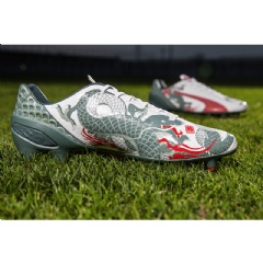 evoSPEED 1.3 with Dragon Graphic