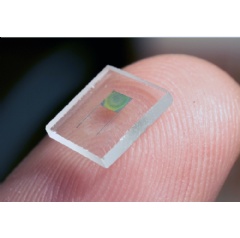 Image of the holographically patterned microbattery.