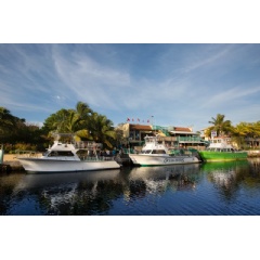 Ocean Divers operates the largest fleet of dive charters in Florida from their own dock and facilities