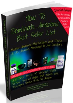 Dominate Amazon’s Best Seller List