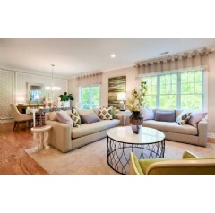 James Place awarded Attached Community of the Year  Under $350,000 was merchandised by national interior design company, Lita Dirks & Co.