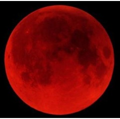Omen for Passover?