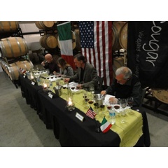 Cougar Meets Italy Judges