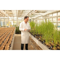 Biological technician Frederic Bach conducts greenhouse-based diagnostics tests at Bayer CropScience’s Weed Resistance Competence Center in Frankfurt, Germany.