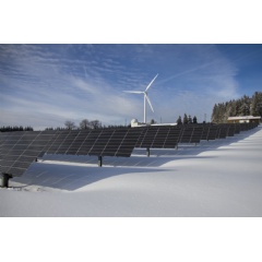 More Electricity Companies Are Going Green with Renewable Energy Plans