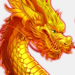 Year of the Dragon