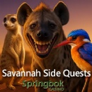 Your 2026 Guide: 25 Free Spins and Bushveld Strategy in Springbok Casino�s January Feature