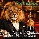 SpringbokCasino.co.za Reveals �Wild Oscars� Winners and 25 Free Spins on Oz Golden Trail