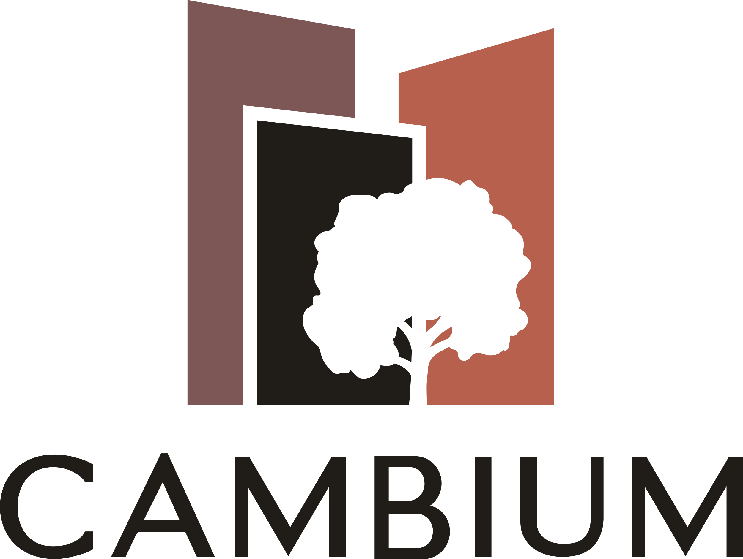 Cambium, Makers of Carbon Smart Wood™, Named to Fast Company’s Annual ...