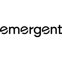 Emergent Index 2026: The Age of Custom Software