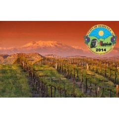 Temecula, CA Wine Country