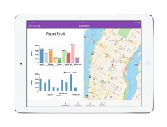 One of several analytics screens in NubiQs iPad APP