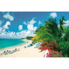 Carnival Cruise Line’s Mardi Gras – already creating buzz among cruise fans – is now open for sale of its inaugural schedule for 2020.   -Credit: Carnival-