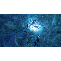 CREDIT: The Nature Conservancy