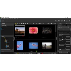 Image-browsing window (simulated image)