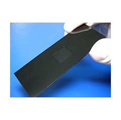 Allergy Testing Biochip