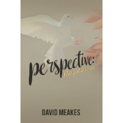 Perspective: The Golden Rule by David Meakes