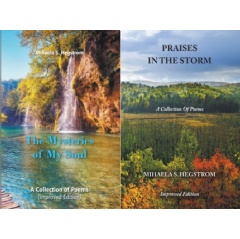 “The Mysteries of My Soul” and “Praises in the Storm” by Mihaela S. Hegstrom