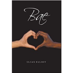 In this book of poems in which I have created represent love and the realities of what I feel love is and what love should be as a writer as a man and as a human being and I hope that my love poems reflect what love is and possibly could be.
