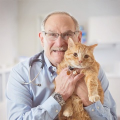 Dr. Ted Cohn, DVM - Vetary.com