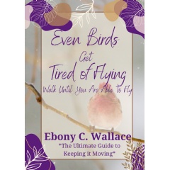 Ebony C. Wallace's Transformative 30-Day Devotional Ready to Take Center Stage at the 2024 Los Angeles Times Festival of Books thumbnail