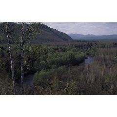 � Hartmut Jungius/WWF