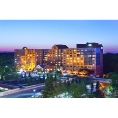 The renovation includes a modern restoration to create a hometown-luxury experience of 314 guestrooms and suites. Credit: Hilton Hotels & Resorts