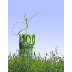 The EU Commission must now produce an ambitious EU integrated sustainable finance strategy