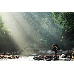 Nature is the key to sustain life on Earth. We depend on it for our basic needs - food, water, air, medicines and, physical and mental well-being. © WWF-Indonesia/Victor Fidelis Santosa