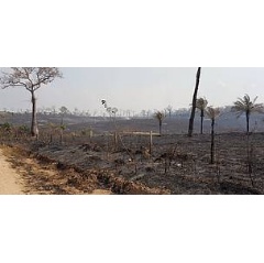Indigenous territories, Monte Verde.� APCOB