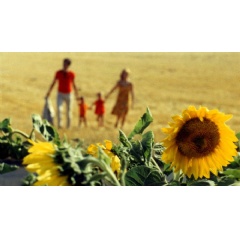Le bonheur