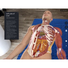 A 3D anatomy image from 3D4Medical’s Complete Anatomy. Elsevier, part of RELX PLC, announced Wednesday morning that it had acquired 3D4Medical, a Dublin-based company.