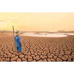 Climate change is leading to the desertification of large areas of land, especially in regions of Africa.