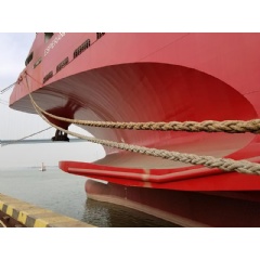 Navimag Ferries new ship, the Esperanza, fitted with a Wrtsil propulsion system, has now been delivered. Copyright: Naviform Consulting & Research.