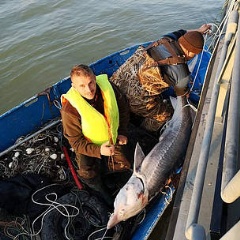 More than 100 karmaci, long lines with hundreds of hooks, have already been seized in Bulgaria this year.
� Executive Agency of Fisheries and Aquaculture, Bulgaria