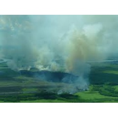 Forest fires Cerrado Pantanal side Bolivia. Located between the Amazon, Atlantic Forests and Pantanal.
©Marius Brants / WWF
