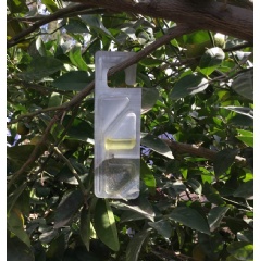 Vynyty Citrus® is Bayer’s latest biological and pheromone-based crop protection product to control pests on citrus farms.