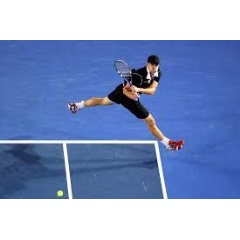 Members can bid for the chance to take part in a tennis clinic with former world number no. 1 Andy Roddick