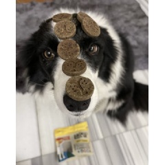 Picture: Healthy, sustainable dog treats from Orgafeed, under the Laika brand (Credit: Orgafeed)
