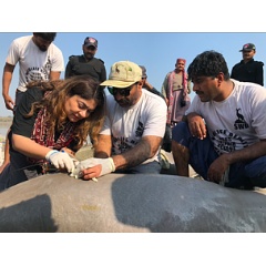 First satellite tagging of Indus river dolphin in Pakistan
© Janan Sindh