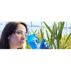 BASF announces its ten-year outlook on agricultural innovations that support food security for future generations, while minimizing the impact of farming on the climate and the environment.