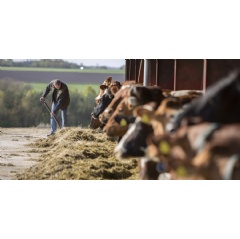 Arla Foods and DSM start large-scale on-farm pilot programme to reduce greenhouse gas emissions from dairy cows by 30 per cent