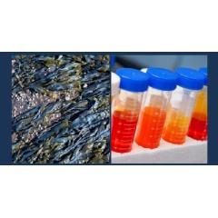 Photo credit: Mara Renewables