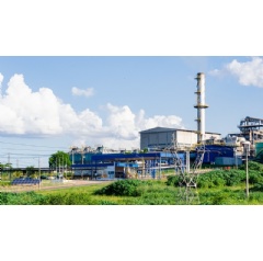 With 45 MW of installed capacity, Biolins meets 20% of JBS�s electric power needs in Brazil.
